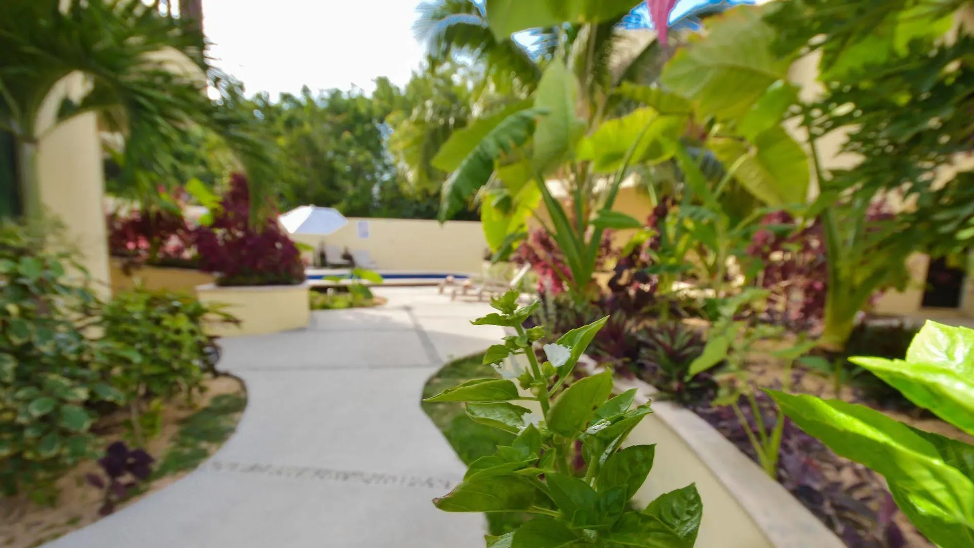 Villas Akalan Tulum Mexico
